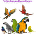 RUBY.Q Large Parrot Toy, 20in Bird Parrot Toy, Multicolored Natural Wooden Bird Chewing Toys for Large Macaws, African Grey and a Variety of Amazon Parrots