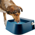 LESYPET Automatic Water Dispenser for Dogs, 68 oz Outdoor Dog Drinking Water Bowl for Chicken Livestock, Auto Filling Wa