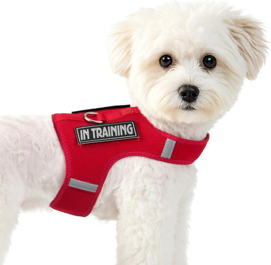 Sunraymascota Dog Harness for Puppy – Adjustable Reflective Easy Put On Soft Mesh Vest for Small Dogs with 2 Patches (Burgundy Red,XXS)