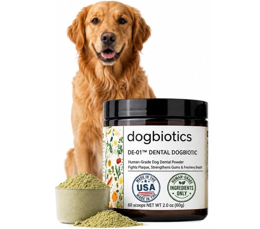 Dogbiotics DE-01 Dental Powder for Dogs – Human-Grade Oral Postbiotic, Helps Fight Plaque & Tartar, Supports Gum Health & Fresh Breath – 60 Scoops (2 oz / 60g)