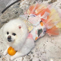 Rainbow Butterfly Dog Dresses for Small Dog Girl Puppy Lace Tutu Princess Dress Cat Outfit Pet Butterfly Costume for Kit