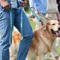 lyfLux 2 Pack Heavy Duty Dog Leashes for Large Dogs - Double Layer Reflective Leash with Dual Handle, 360° Swivel Clip & Soft Padded Handle | 6ft Strong Leash for Medium, Large Dogs
