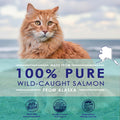 Premium Omega 3 Fish Oil for Cats - Wild Alaskan Salmon Oil Supplement for Skin and Coat - Liquid Cat Supplement for She