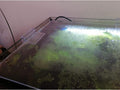 Weilan 18 Pieces Rimless Aquarium Lid Clips 6mm Thick Acrylic Rimless Glass Canopy Clips Holder Fish Tank Cover Support