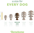 Benebone Fishbone Durable Dog Chew Toy for Aggressive Chewers