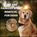 Creative Science WARTSOFF WART Dog and Horse Ointment, 4-OZ JAR