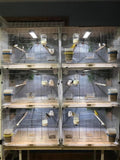 HappyBird Lightning (A Divison of M&M Cage) 24" LED linkable Light bar Without Power Source for Multiple Bird Breeder Cages, Full Spectrum LED. Will NOT Run ON ITS OWN (Single)