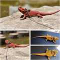 Bearded Dragon Harness and Leash Adjustable(M,L,XL) - Soft Leather Reptile Lizard Leash Accessories for Bearded Dragon, 