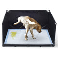 Dog Litter Box Indoor for Medium Dogs,Pee Pad Holder with High Walls(34.64"*28.34"*17.72"),No-Spill Pee Pad Holder with Foldable Pet Toilet,Easy Clean Puppy Litter Box for Dogs (Large)