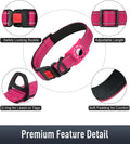 Reflective Dog Collar for Small Dogs with Silicone Tag Holder
