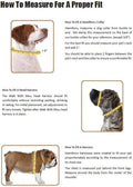 Hamilton Adjustable Nylon Dog Harness, Small 5/8" x 12-20"