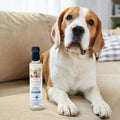 CocoTherapy Triplex MCT-3 Oil, Non-GMO, 100% Pure and Natural