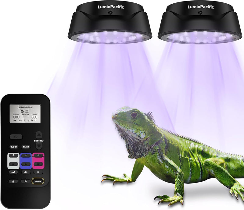 2 Pack UVB Reptile Lights with Remote, UVA UVB Light with Timer