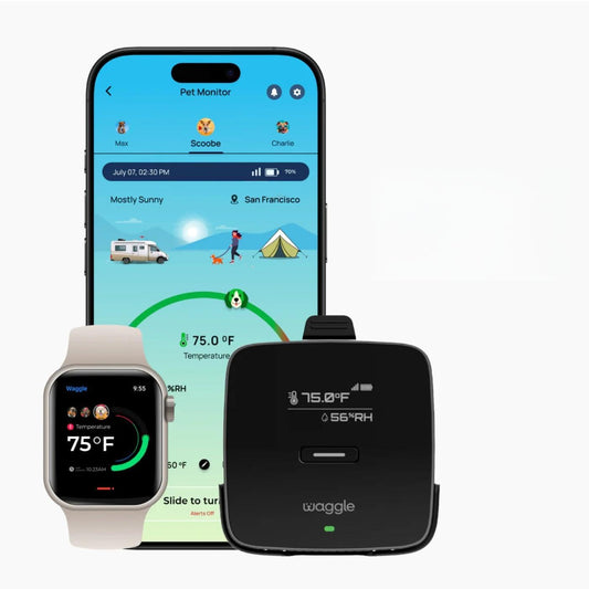 Waggle 4G Cellular Temperature & Humidity Monitor – Real-Time App, Email & SMS Alerts, LCD Display, Rechargeable Battery, RV/Camper/Van/Car Monitoring – Subscription Required