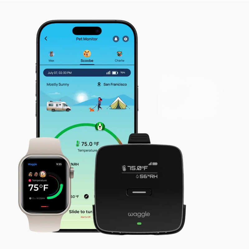 Waggle 4G Cellular Temperature & Humidity Monitor – Real-Time App, Email & SMS Alerts, LCD Display, Rechargeable Battery, RV/Camper/Van/Car Monitoring – Subscription Required