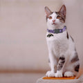 Halloween Cat Collar, Cotton 2 Pack Cat Collar with Bells, Purple