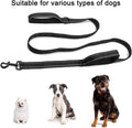 lyfLux 2 Pack Heavy Duty Dog Leashes for Large Dogs - Double Layer Reflective Leash with Dual Handle, 360° Swivel Clip & Soft Padded Handle | 6ft Strong Leash for Medium, Large Dogs