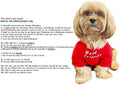Cute Dog Clothes, T Shirt for Medium and Small Dogs Girl Boy,Puppy.Breathable Soft Dog Costume for Pet Dogs Cats, Pet Pullover Jumper, Cat Clothes (L-(10~17lb), Chest~18", Khaki)