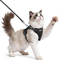 rabbitgoo Cat Harness and Leash, Easy-on with Neck Buckle