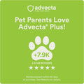 Advecta Plus Topical Large Cat Flea Treatment for Cats and Kittens, Flea Prevention and Control, Fast-Acting Waterproof Drops, 4-Month Supply