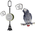 Colorday Bird Toys Parrot Talking Coach & Interactive Voice Bell for Parakeet, African Grey, Parrots, Quaker, Cockatiel,
