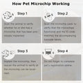 2Packs 2.12x12mm,Universal Pet Microchip Animals Implant Chip 134.2khz Registration FDX-B Pet ID Microchip for The Manag