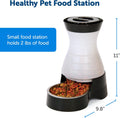 PetSafe Healthy Pet Food Station, 2 lb Gravity Feeder, Cats & Dogs