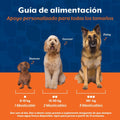 NaturVet Aller-911 Advanced Allergy Aid for Dogs, Cats – Antioxidant-Rich Pet Supplement with Omegas, DHA, EPA – Helps Support Dog Immune System, Cat Respiratory Health, Skin Moisture 180 Soft Chews
