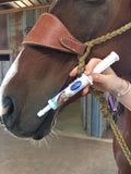 Dream Horse Calming Paste for Horses, Stress & Focus, 16oz