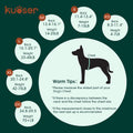 Kuoser Dog Surgery Recovery Suit, Surgical Suit for Dogs Male Female, M