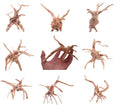 YZHZOM 8pcs Natural Small Spiderwood Driftwood for Aquarium Decor Aquarium Driftwood Freshwater Reptile Driftwood Aquari