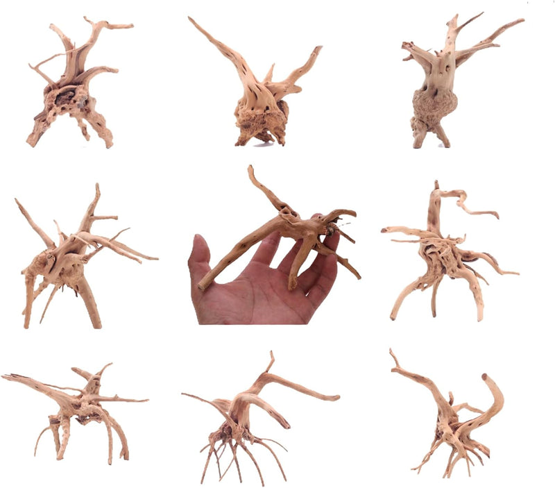 YZHZOM 8pcs Natural Small Spiderwood Driftwood for Aquarium Decor Aquarium Driftwood Freshwater Reptile Driftwood Aquari