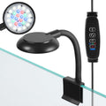 Small with Timer & Dimmer