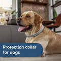 Flea Collar for Dogs, Flea and Tick Collar for Large Dogs, Comfort Fit for Sturdy Dog Flea Collar, Adjustable Tick Dog C