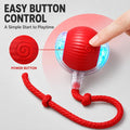 Rcxnm Interactive Cat Ball Toy with String, Interactive Cat Toys Ball Fast Rolling，Red, Bouncing Teaser Wand