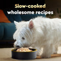 Cesar Wholesome Bowls Adult Wet Dog Food, Chicken, Recipe, Wet Food for Dogs, 3 Oz. Bowls, 10 Count