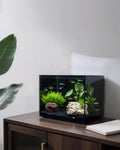 2.5 Gallon Nano Glass Fish Tank, Ultra-Clear Rimless Desktop Aquarium