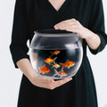 Geelin 1 Gallon Plastic Fishbowl Round Large Clear Shatterproof Tank