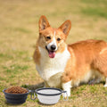 Collapsible Dog Bowl,2 Pack Portable and Foldable Pet Travel Bowls Collapsable Dog Water Feeding Bowls Dish for Dogs Cat