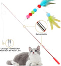 YULOYI Cat Toys for Indoor Cats, 13 Packs Interactive Cat Wand Toy Set with Feather Toys & Teasers, Fun Cat Toys for Exercise, Playtime and Boredom Relief