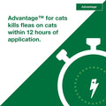 Advantage Topical Cat Flea Treatment and Prevention for Small Cats 2-9 lbs. | Apply Flea Drops Monthly | 2 Treatments