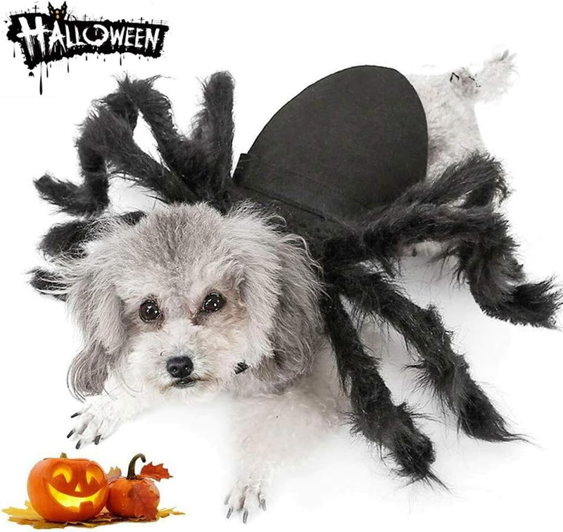 Dog Cat Spider Costume for Halloween Party Decoration, Halloween Cosplay Costumes for Small Dogs and Cat, Puppy Dress Up