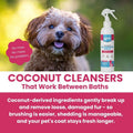 Groomer’s Goop Dander Relief Deshedding Spray – Leave-in Formula Soothes Dry Skin, Reduces Shedding & Dander, Moisturize