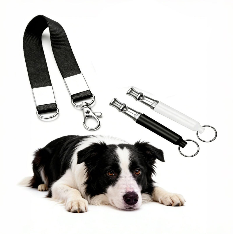 Liedrg 2 Pack Adjustable Ultrasonic Dog Whistles, Silent Dog Training Whistles for Recall & Behavior Guidance, with Lanyard (Black & White)