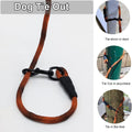 BTINESFUL Dog Tie Out, Check Cord Long Tether Rope Leash, 8ft 12ft 20ft 30ft 50ft 75ft Yard Training Dog Lead - Large Me