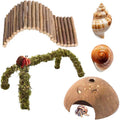 Hermit Crab Accessories – 5PCS Natural Hermit Crab Toys Climbing Bridge, Shells, Coconut Hideout, Moss and Plants for He
