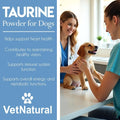 VetNatural Taurine for Dogs, 99.99% Pure Taurine Powder – Immune Support, Boost Energy, Skin & Coat Health for Heart, Vi