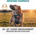 Embark Adventure No Pull Dog Harness, Reflective Trim No Pull Harness for Medium Sized Dog - Military Grade Nylon, Front Clip with Gel Lined Handle. Soft & Padded Puppy