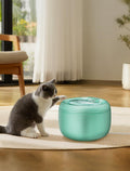 GROOVYPETS 2.5L/85oz Translucent Fountain Water Bowl Drinking Dispenser Pet Waterer for Cats Dogs (Green, Medium)