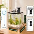 1.5 Gallon Aquarium Small Fish Tank Starter Kit with Filtration & LED Light & Fishing Net for Betta Shrimp Guppy Goldfis